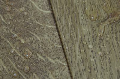 8454-picture_additional