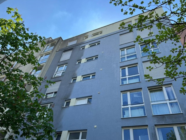 3329-picture_additional