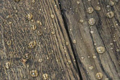 8060-picture_additional